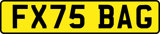 FX75BAG