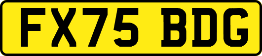 FX75BDG