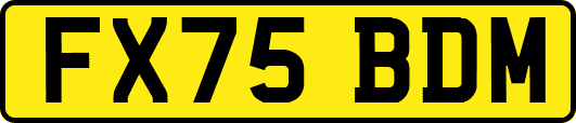 FX75BDM