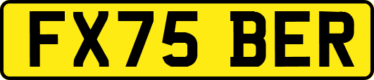 FX75BER