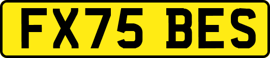 FX75BES
