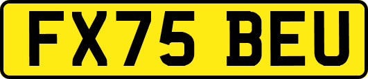 FX75BEU