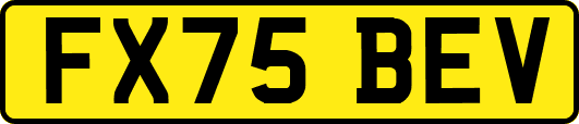 FX75BEV