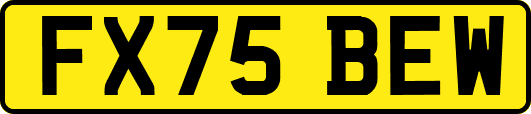 FX75BEW