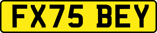 FX75BEY