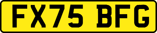 FX75BFG