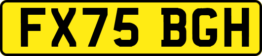FX75BGH