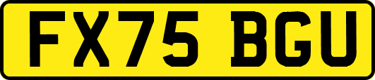 FX75BGU