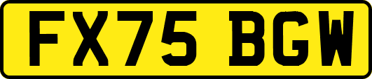 FX75BGW