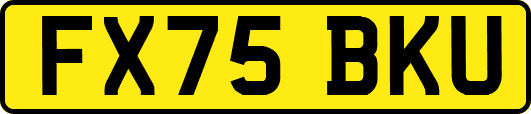 FX75BKU