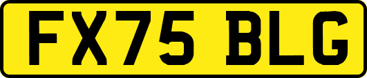 FX75BLG