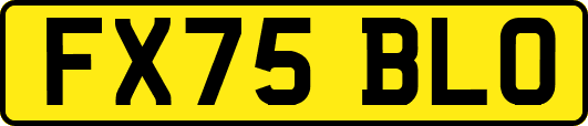 FX75BLO