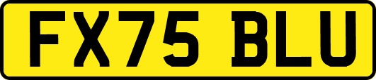 FX75BLU