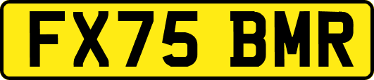 FX75BMR
