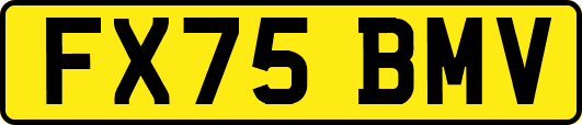 FX75BMV
