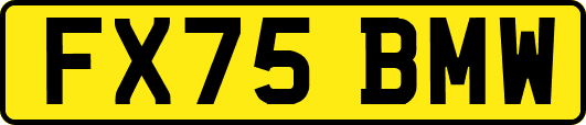 FX75BMW