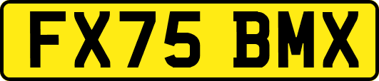 FX75BMX