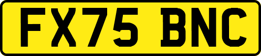 FX75BNC