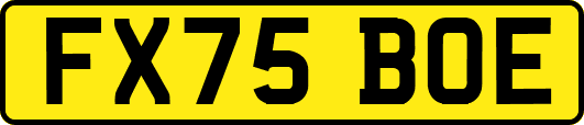 FX75BOE