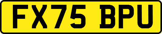 FX75BPU