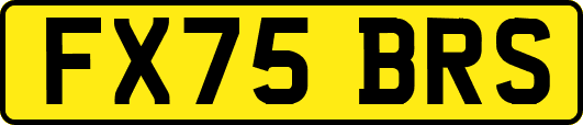 FX75BRS