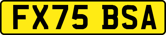 FX75BSA
