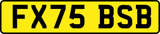 FX75BSB