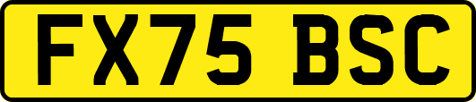 FX75BSC