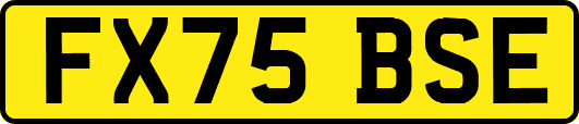 FX75BSE