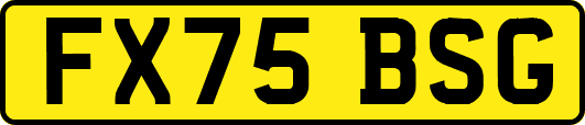 FX75BSG