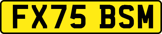 FX75BSM