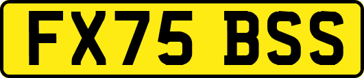 FX75BSS