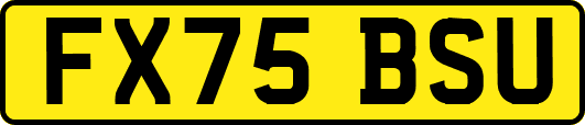 FX75BSU