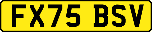FX75BSV