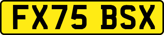 FX75BSX