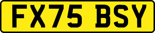 FX75BSY
