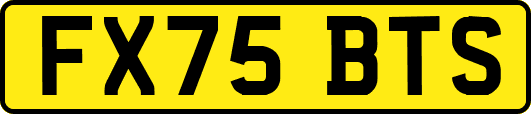 FX75BTS