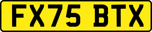 FX75BTX