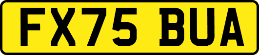 FX75BUA