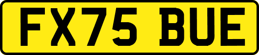 FX75BUE