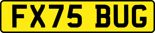FX75BUG