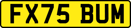 FX75BUM