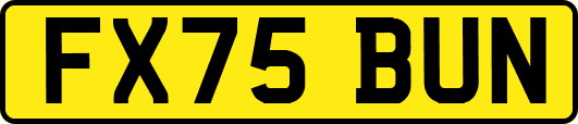 FX75BUN
