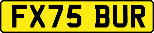 FX75BUR