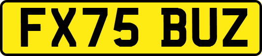 FX75BUZ