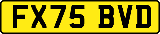 FX75BVD