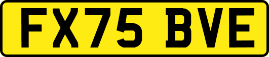 FX75BVE
