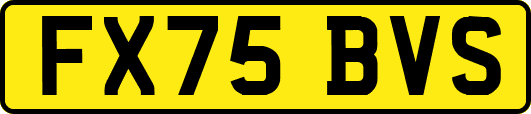 FX75BVS