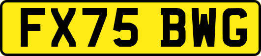 FX75BWG