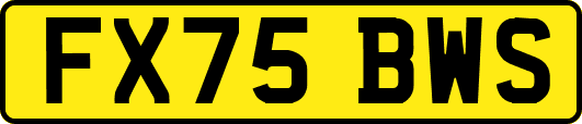 FX75BWS